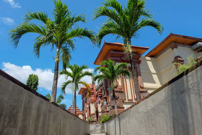 Low angle view of palm trees and building against sky