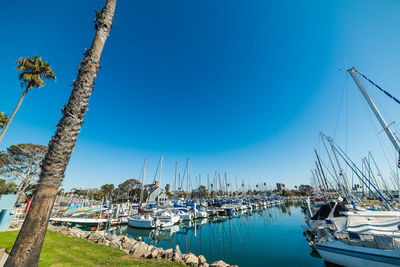 Sailboats moored at harbor against clear blue sky