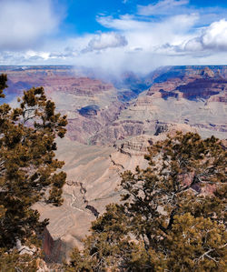 Scenic view of the grand canyon with trees