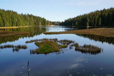 Reflection of trees in lake against sky