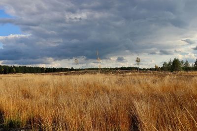 Scenic view of field against cloudy sky