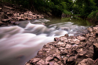 Stream flowing through forest