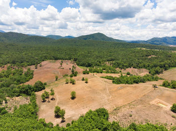 High angle view of trees on field against sky