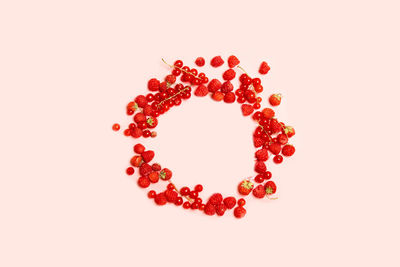 Directly above shot of red berries against white background