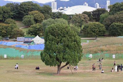People on field against trees