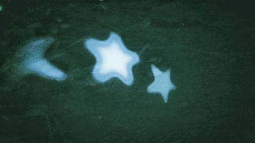 Close-up of jellyfish swimming in water