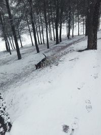 View of a dog on snow covered land