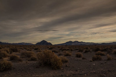 Scenic view of desert against sky
