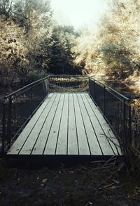 Footbridge along trees