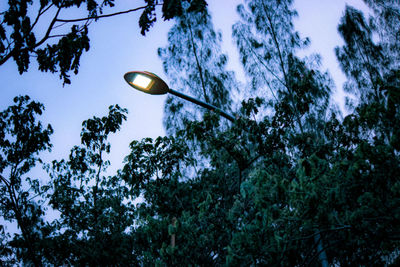 Low angle view of street light against sky