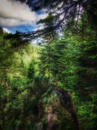 Scenic view of landscape against cloudy sky