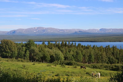 Scenic view of landscape against sky