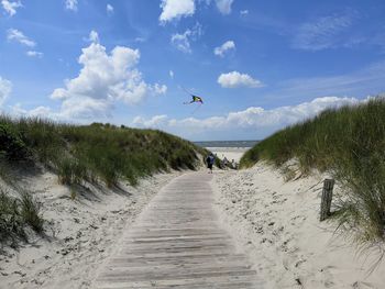 View of birds flying over beach against sky