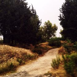 Dirt road passing through landscape