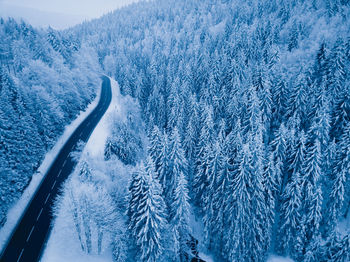 Aerial view of snow covered landscape