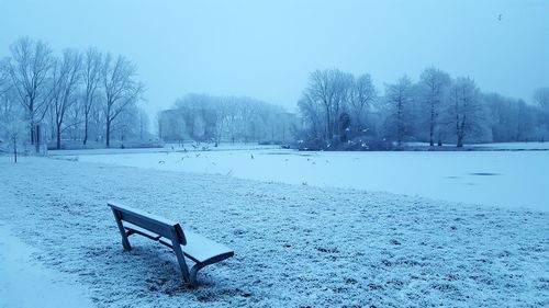 Scenic view of snow covered trees