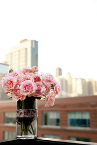 Close-up of pink rose against blurred background