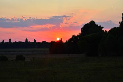 Silhouette trees on field against sky during sunset