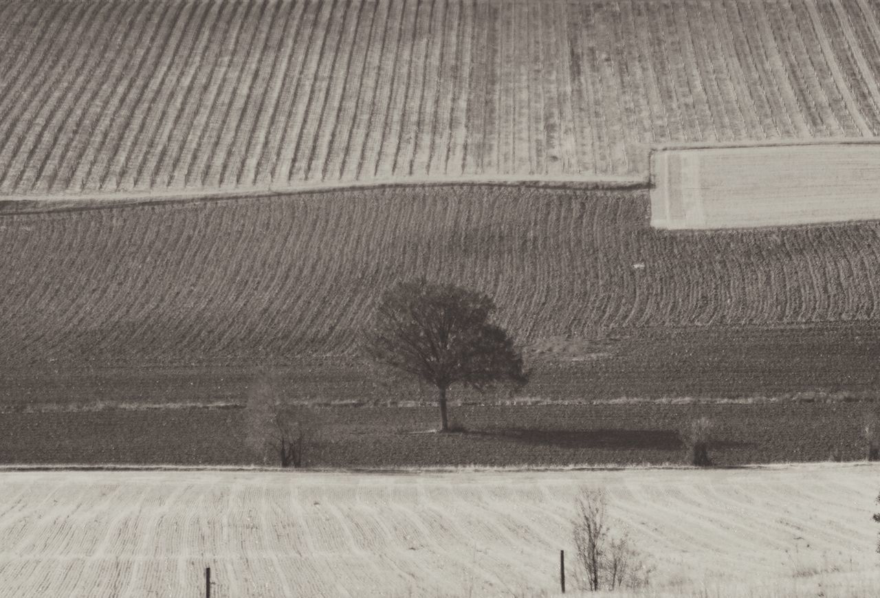 SCENIC VIEW OF FIELD AGAINST WALL