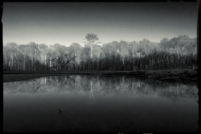 Scenic view of lake in forest against sky