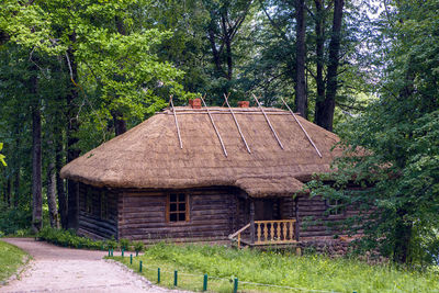 Old log house with one window, surrounded by trees in the summer