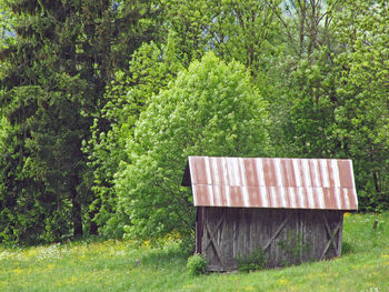 View of hut in grassy field
