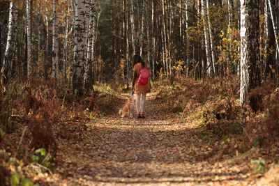 Rear view of woman standing by trees in forest