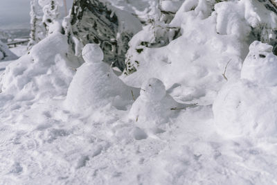 Close-up of snow covered land