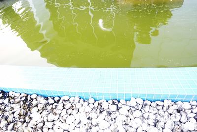 High angle view of stones in swimming pool