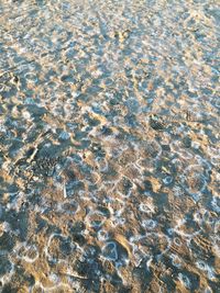 Full frame shot of rippled water