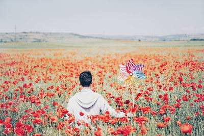 Man with pinwheel amidst blooming flowers