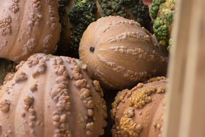 Close-up of bread