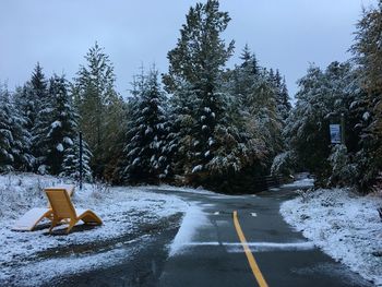 Empty road by trees against sky during winter