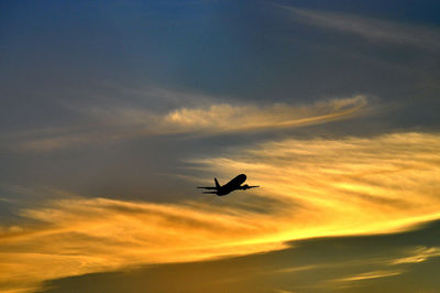 Low angle view of silhouette bird flying against sky during sunset