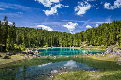 Scenic view of lake in forest against sky