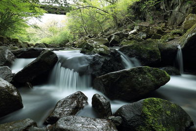 Scenic view of waterfall in forest