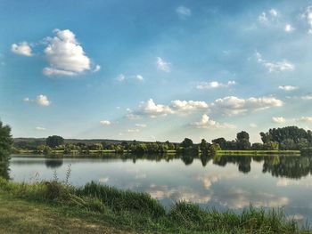 Reflection of trees in calm lake