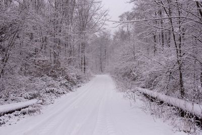 Snow covered road amidst trees during winter