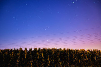 Plants growing on field against sky at night