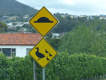 Road sign by trees against sky in city