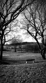 Park bench on field against sky