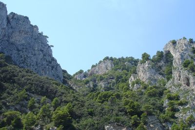 Low angle view of trees and mountains against clear sky