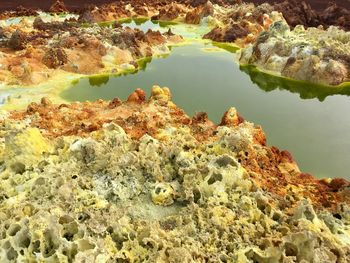 High angle view of rocks on beach