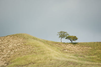 Scenic view of grassy field against sky