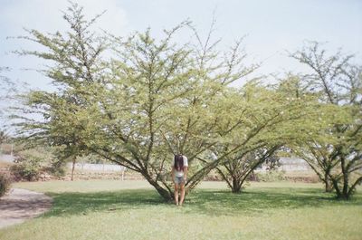 People walking on grassy field