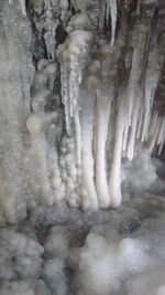 Close-up of frozen ice