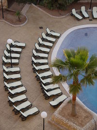 High angle view of palm tree