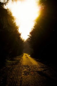 Road amidst trees against sky