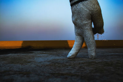 Low section of woman standing on land against clear sky