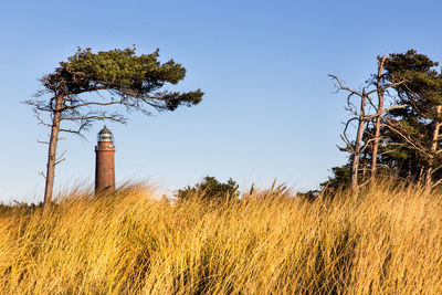 Lighthouse on field against clear sky